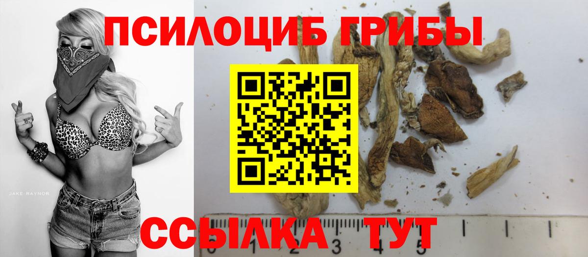 Галлюциногенные грибы прущие грибы Ейск