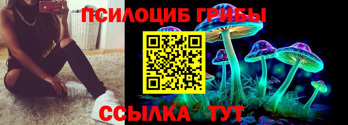 Ейск  Псилоцибиновые грибы прущие грибы  Вход с VPN 